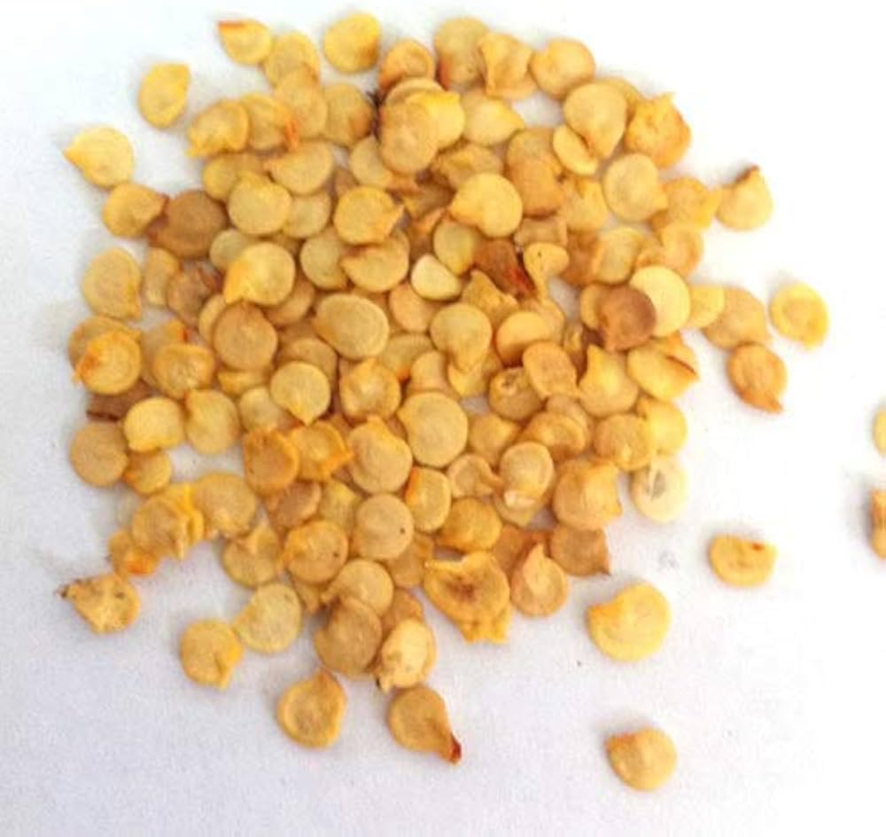 Violette Bhut Jolokia Pepper Capsicum Chinense Vegetable Seeds for Planting in Home Garden and Containers